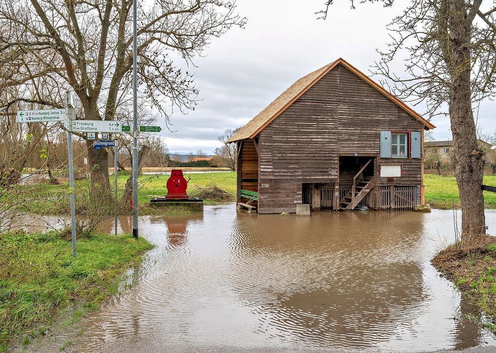 Hochwasser am Blütengrund: Das Wasser der Saale - hier am alten Fährhäuschen - ist über die Ufer getreten.