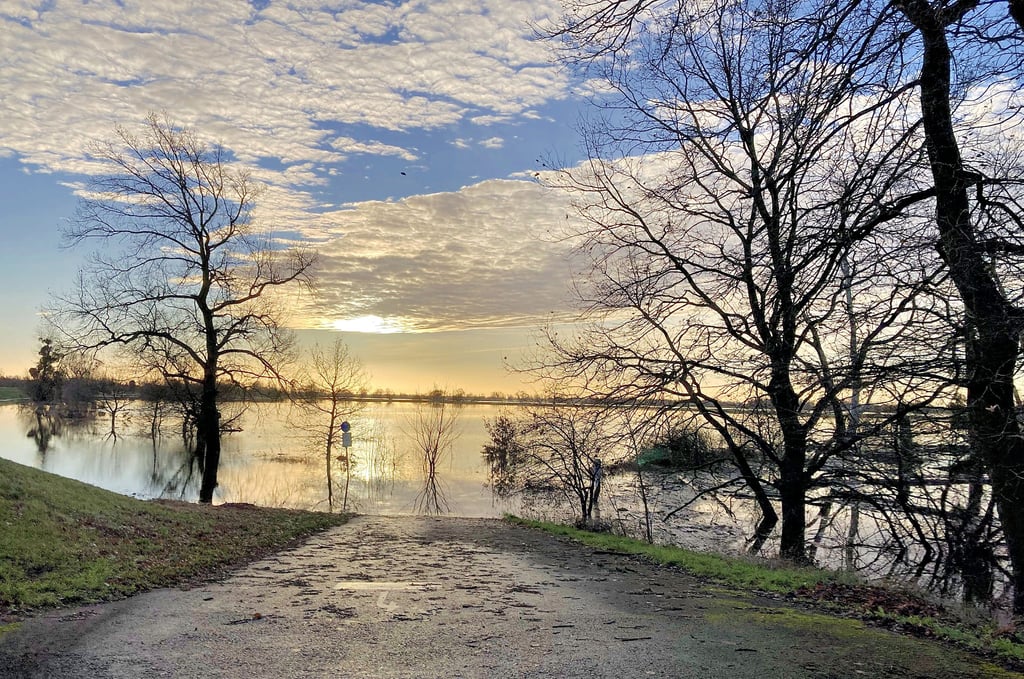 Lage an der Elbe