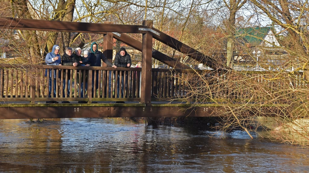Hochwasser in Haldensleben: Auf der hölzernenen Brücke am Haldensleber Gänseanger beobachten Schaulustige die angestiegene Ohre.