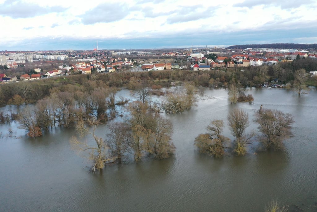 Hochwasser in Halle: Land unter: Die Elsteraue in Halle steht seit Weihnachten unter Wasser.