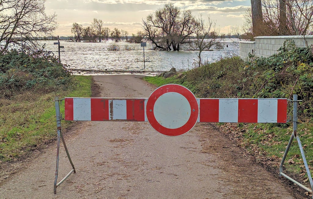Blick auf das steigende Wasser am Weinberg in Lostau.