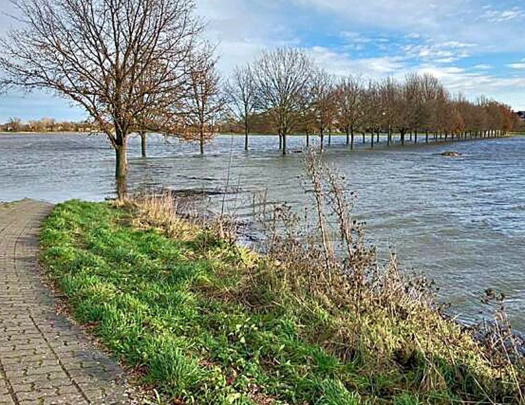 Die Straße zwischen Löderburger See und Löderburg ist komplett überschwemmt.