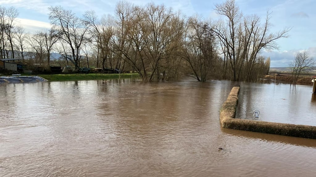 Severe Flooding in Saxony-Anhalt: Overview and Current Situation