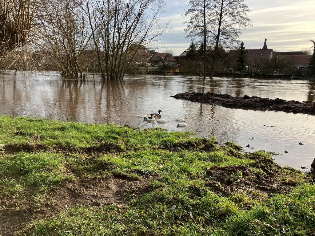 Die Helme in Sachsen-Anhalt führt extremes Hochwasser. die höchste Alarmstufe ist deutlich überschritten.