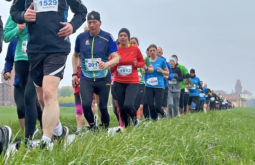 Das Läuferfeld der 10-Kilometer-Distanz im April 2023 auf dem Onkel-Toms-Hütte-Deich mit Tangermünde im Hintergund.