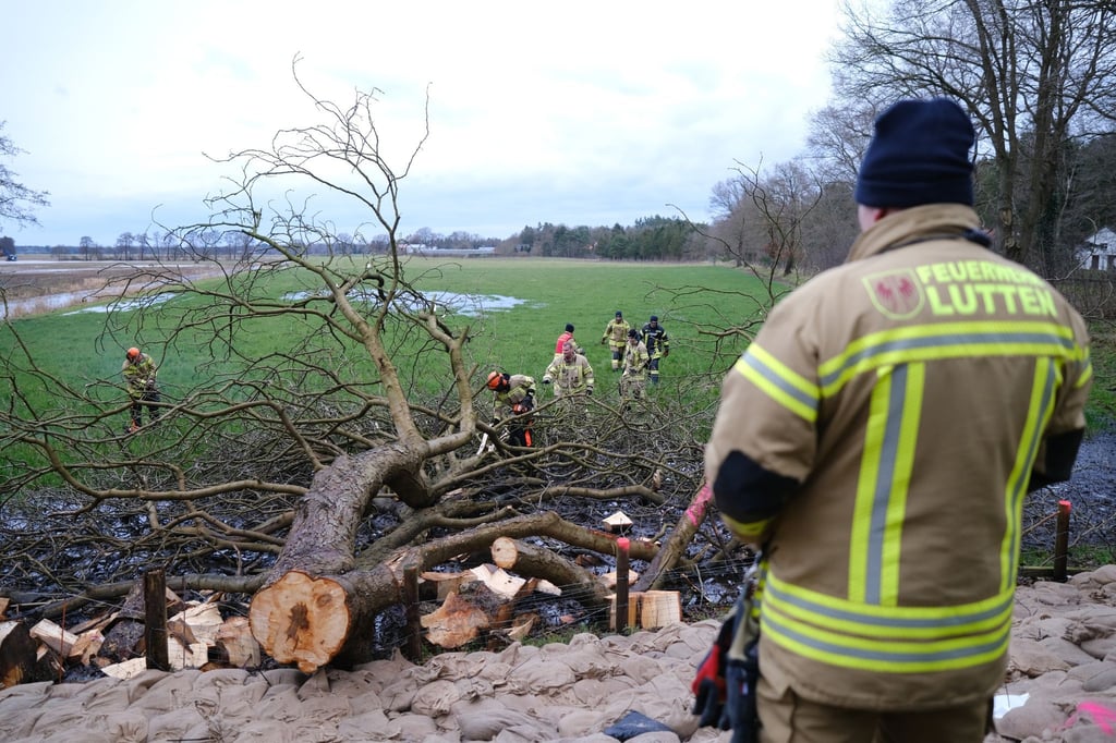 Feuerwehrleute zersägen einen umgestürzten Baum bei Sandkrug.