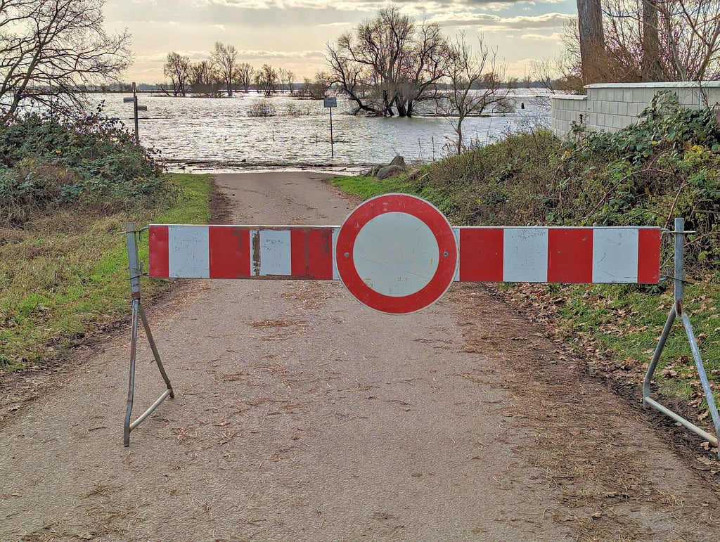 Am Weinberg in Lostau ist die Elbe deutlich über die Ufer getreten.