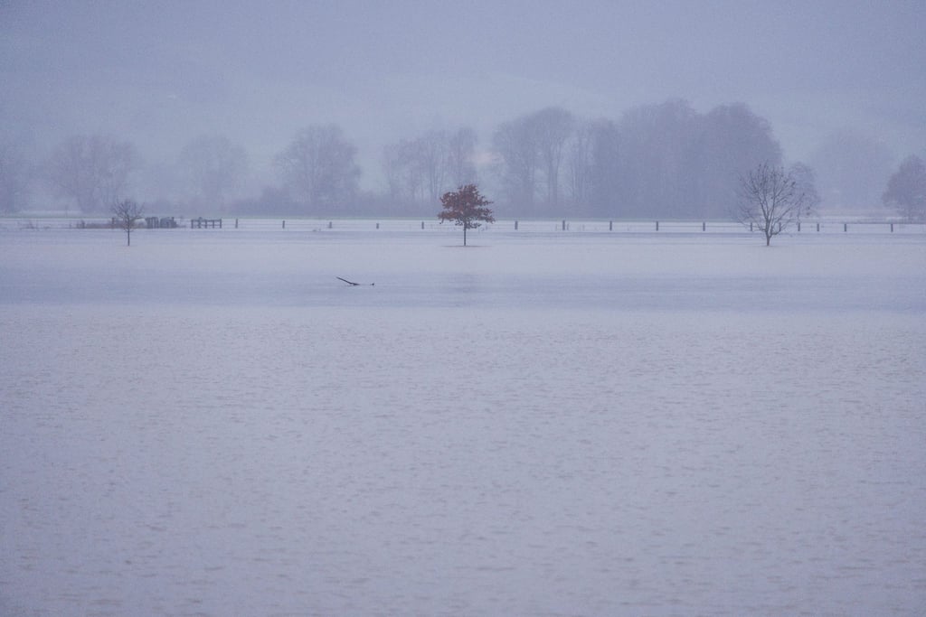 Wiesen und Felder werden bei Fuhlen vom Hochwasser der Weser überflutet.