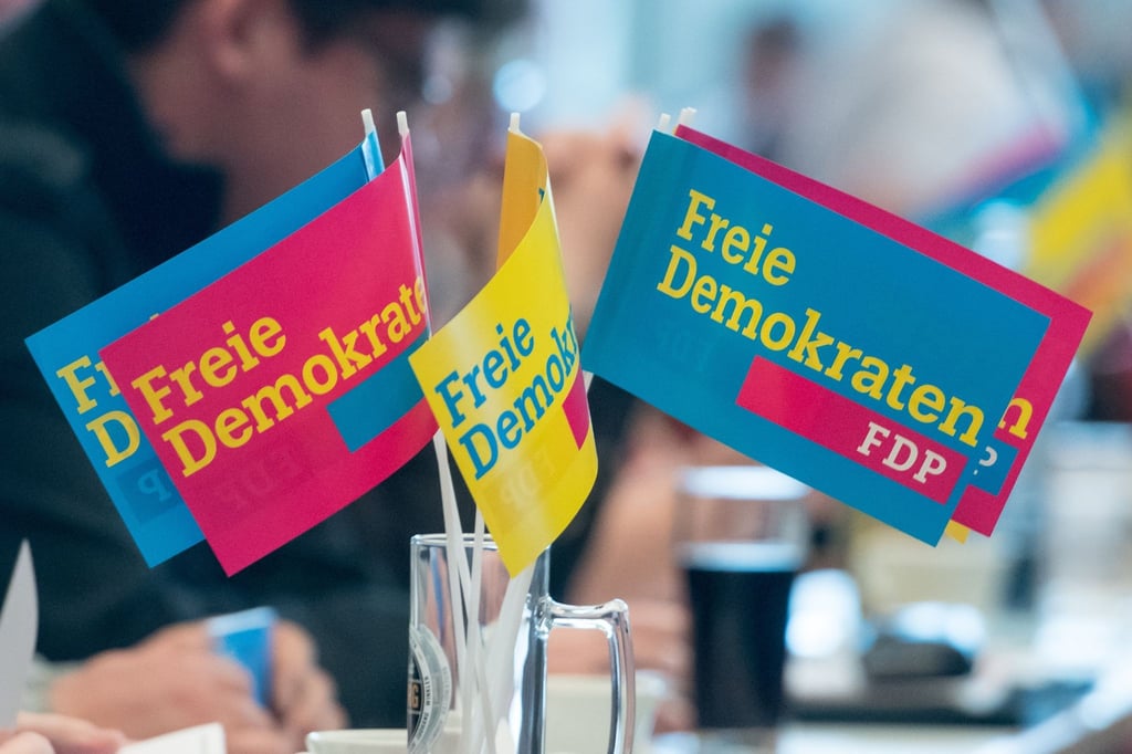 Das Ergebnis der FDP-Mitgliederbefragung gilt als wichtiges Stimmungsbild.