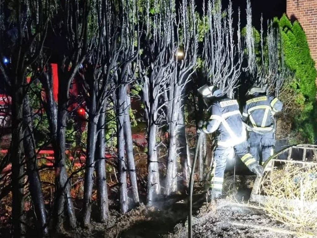 Silvester 2023: In Niegripp bei Burg brannte in der Silvesternacht eine Hecke.