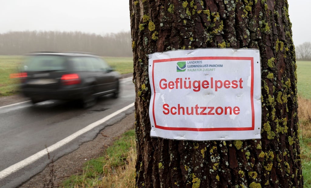 Ein Aushang des Landkreises "Geflügelpest Schutzzone".