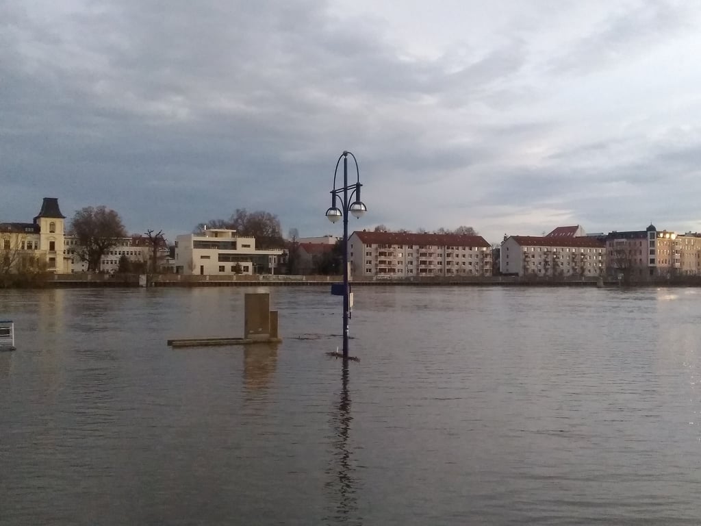 Der von der Elbe überflutete Petriförder in Magdeburg.