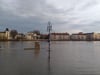 Der von der Elbe überflutete Petriförder in Magdeburg.