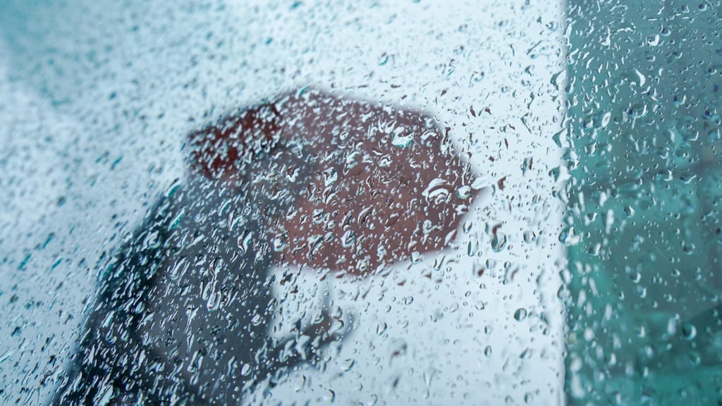 Am Dienstag ist in Sachsen-Anhalt mit Regen zu rechnen.