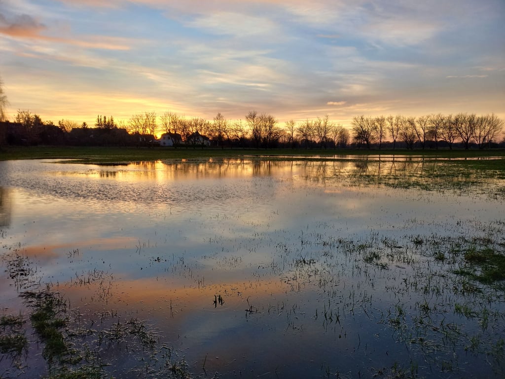 Die überschwemmten Werderwiesen bei Osterburg strahlen beim richtigen Licht eine besondere Wirkung aus.