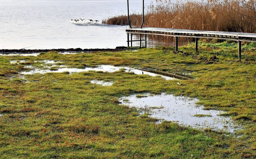 Die Badestelle in Zießau am Arendsee: Der Steg steht weiterhin im Trockenen, aber Wasser bildet sich inzwischen wieder auf der alten Sandfläche, auf sich Rasen ausgebreitet hatte.