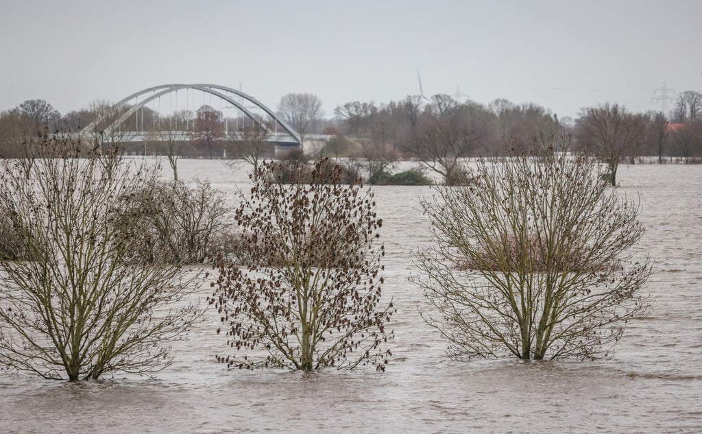 Näume ragen aus dem Hochwasser der Weser in Achim-Baden.