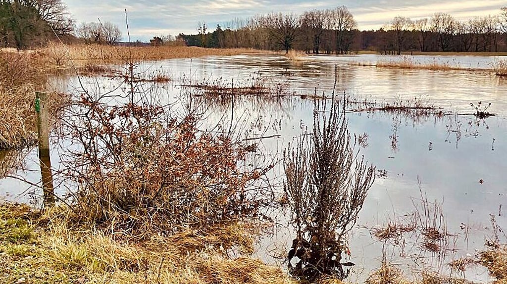 Die Schwarze Elster am Eichenhain bei Jessen