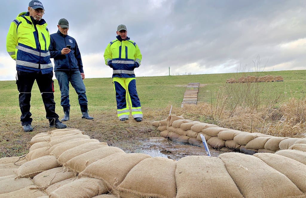 Fritz Schwalenberg, Maik Hacker und Carsten Knopf (v.li.) von der Wasserwehr kontrollieren die Quellkade bei Obselau.