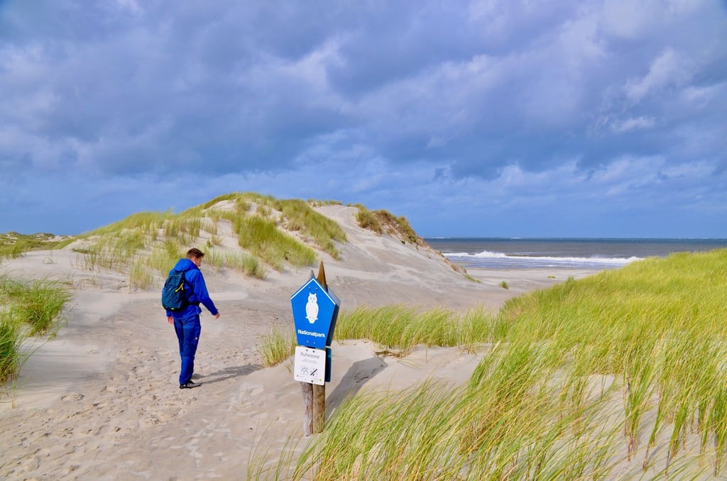 Gerade in der kalten Jahreshälfte und dann insbesondere nach Stürmen gibt es an den Stränden der Nordsee, wie hier im Osten von Borkum, interessante Funde zu machen.