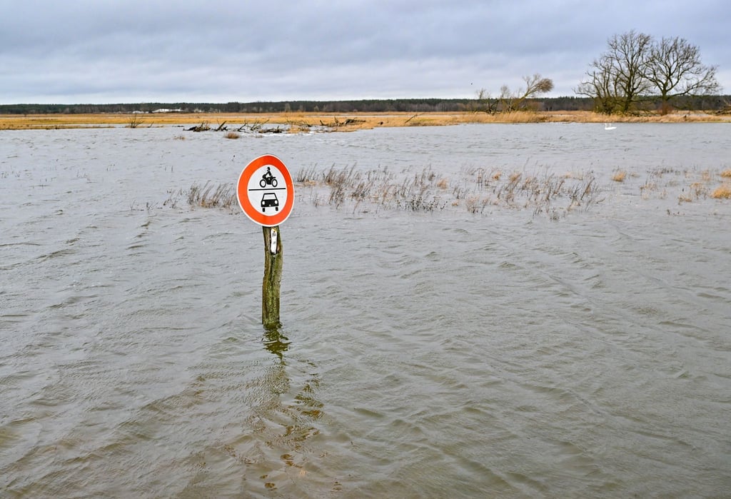 Das Hochwasser der Oder hat im Bereich des Oderbruchs die Wiesen vom Odervorland überflutet.
