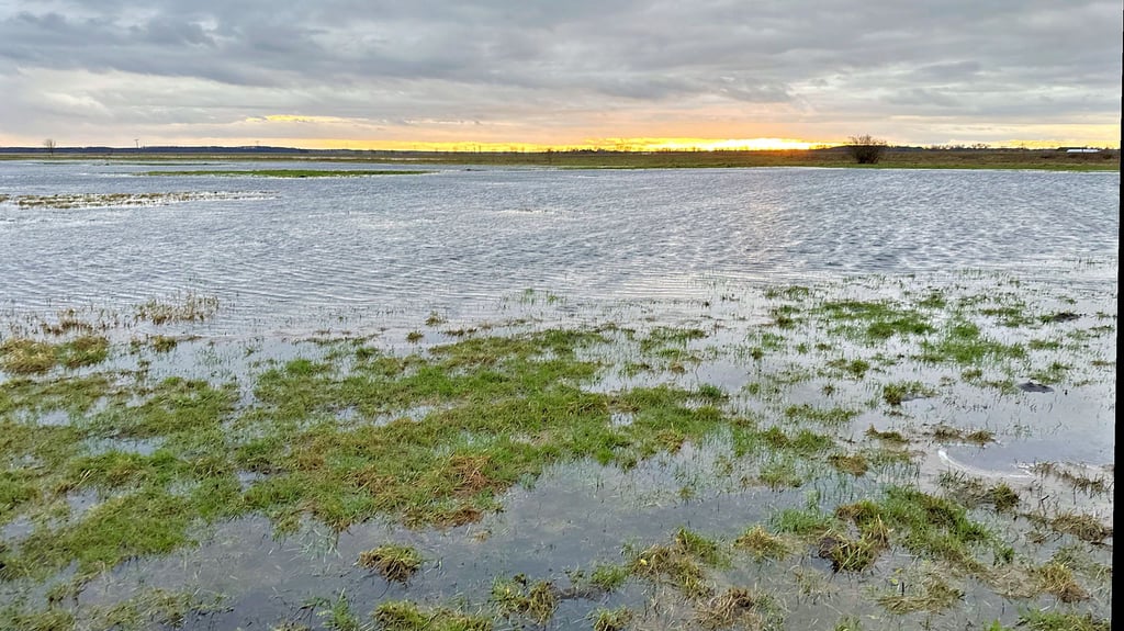 Wiesen im Fiener bei Karow unter Wasser.