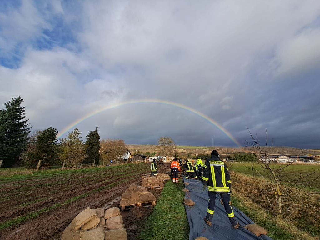 Freiwillige Helfer und Feuerwehrleute aus dem Kreis Anhalt-Bitterfeld bauen am Mittwochvormittag bei Hohlstedt einen Palettendamm.