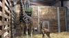 Giraffenkuh Tamika steht mit ihrem Jungtier im Leipziger Zoo.