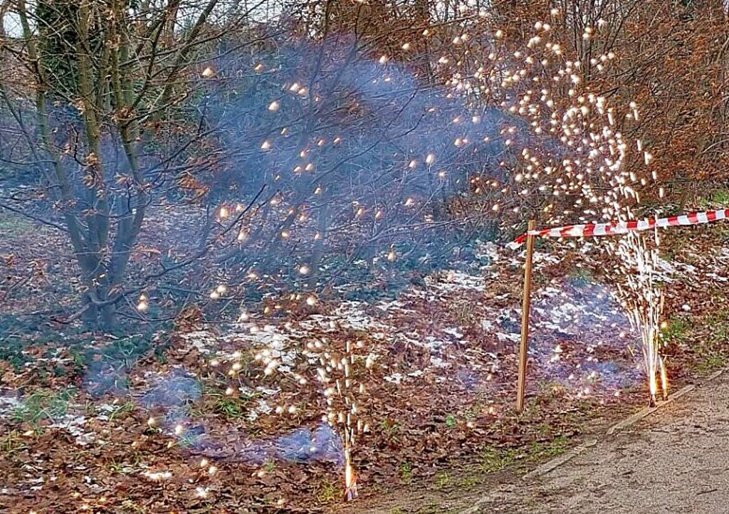 Ein wirklich kleines Neujahrs-Feuerwerk eröffnete den Lauf.