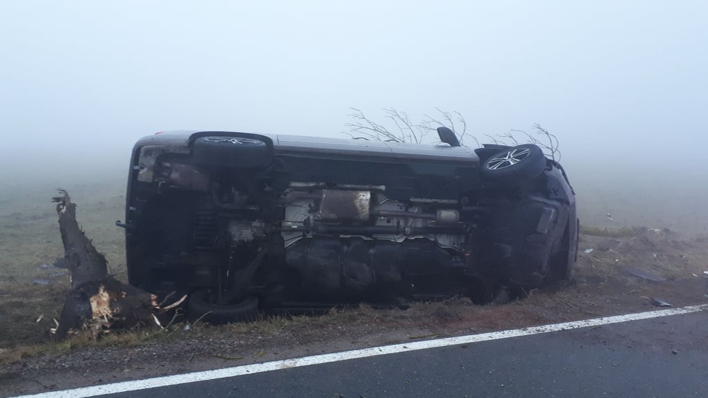 Durch die Kollision mit einem Baum und einem Weidezaun ist auf der B27 ein Auto umgekippt.