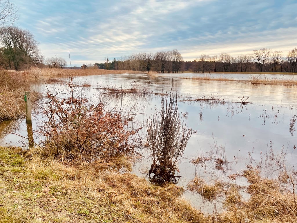Derzeit herrscht Hochwasser an der Schwarzen Elster.