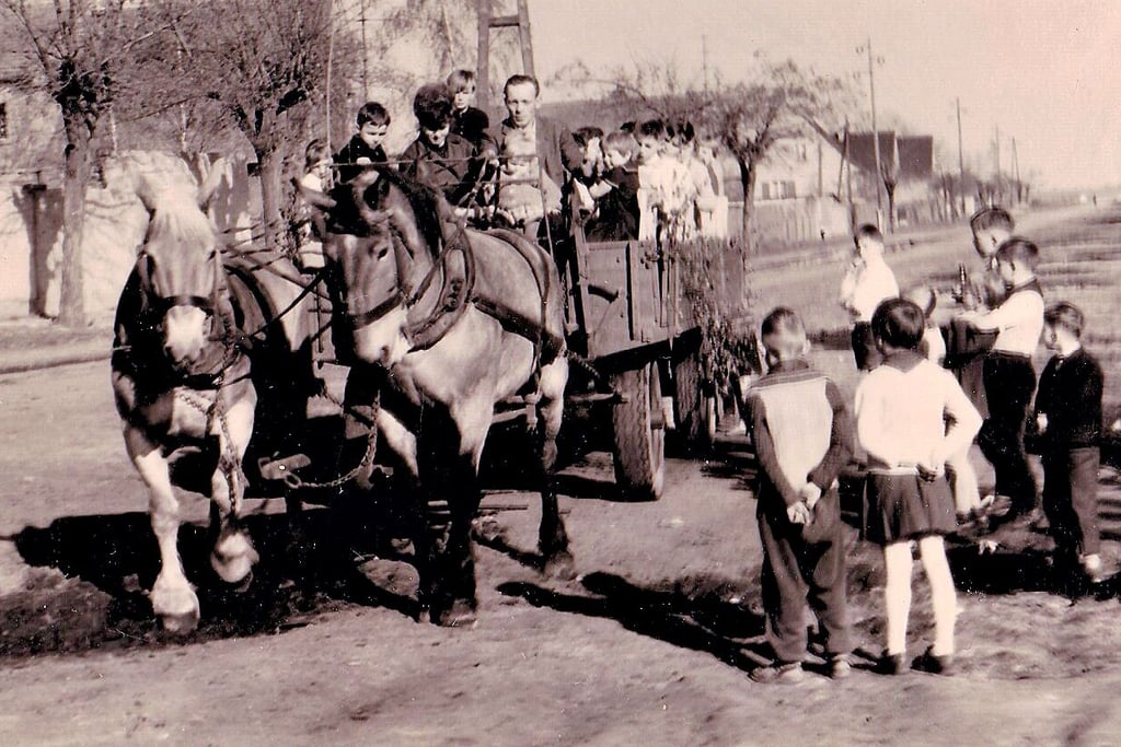 Ein Kinderfest mit Kutschfahrten wurde am 1. Mai 1965 in Gerwisch veranstaltet. Gesucht werden Erinnerungen an die Kindheit in Gerwisch. Alle Generationen sind gebeten, sich daran zu beteiligen.