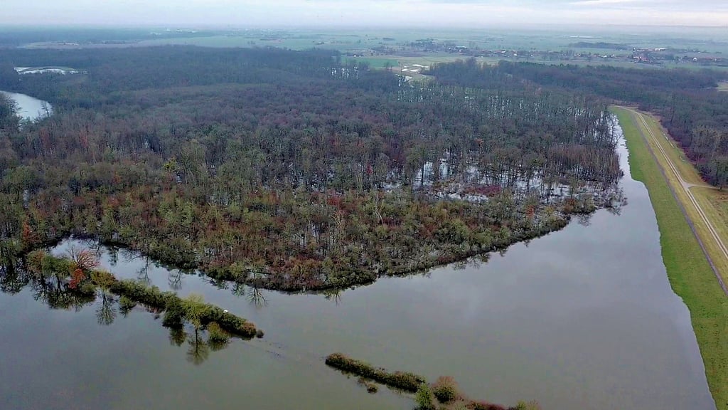 Etwa 600 Hektar stehen im Lödderitzer Forst nach Angaben des WWF unter Wasser.