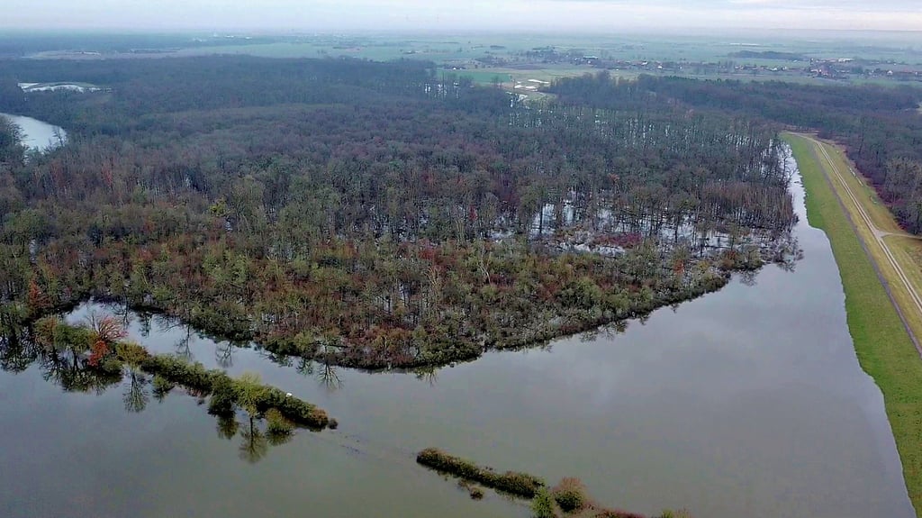 Etwa 600 Hektar stehen im Lödderitzer Forst nach Angaben des WWF unter Wasser.
