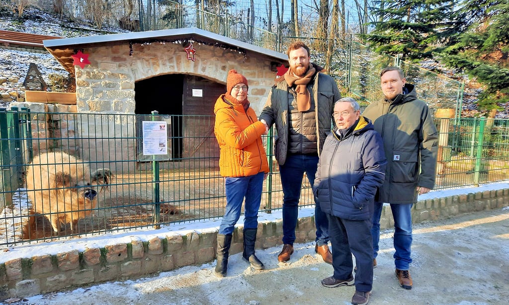 Es ist zwar keine eierlegende Wollmilchsau, sondern nur ein normales Wollschwein, doch betrachtete „Rosenrot“ neugierig, was sich am Dienstag vor ihrem Gehege abspielte: Dort wurde von Ute Radestock, Martin Papke, Michael Heinemann und Christian Endt (v.l.n.r.) über die Übergabe des Heimatnaturgartens an die Stadt informiert.