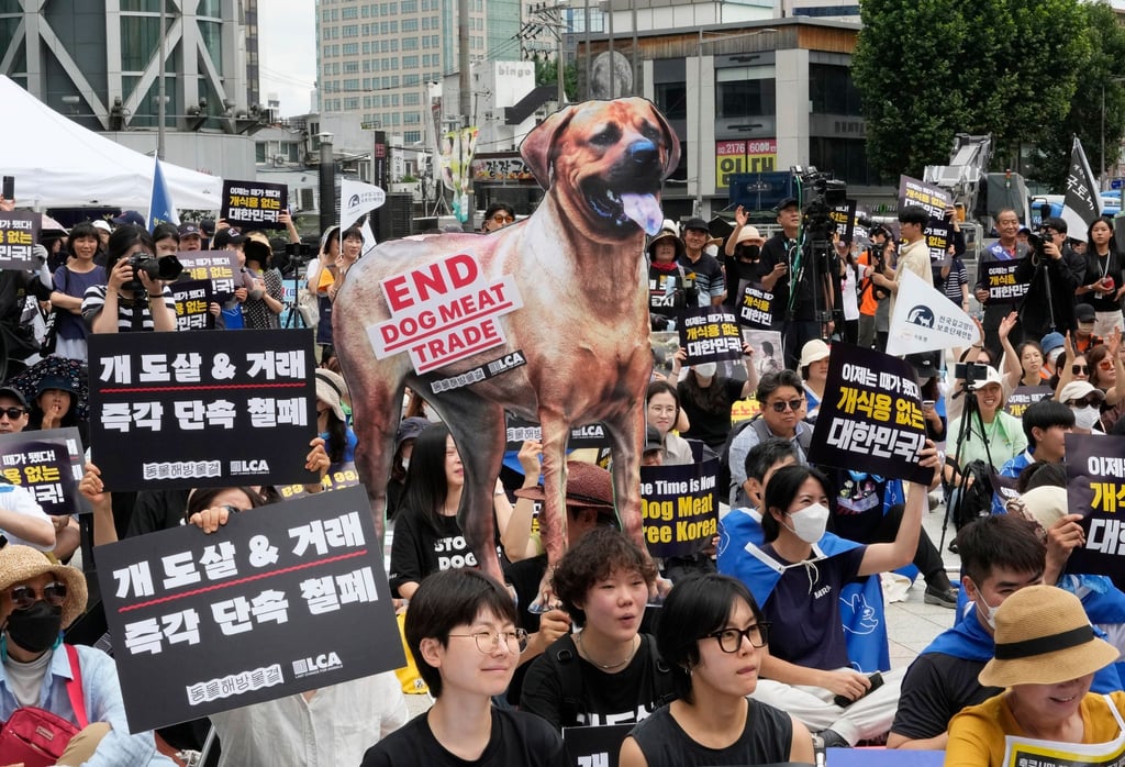 Tierschützer veranstalten eine Kundgebung gegen die traditionelle Kultur des Verzehrs von Hundefleisch in Südkorea.
