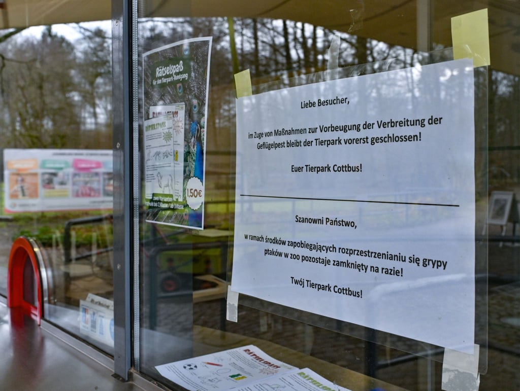 Am Eingang zum Tierpark Cottbus hängt ein Zettel wegen der Schließung.