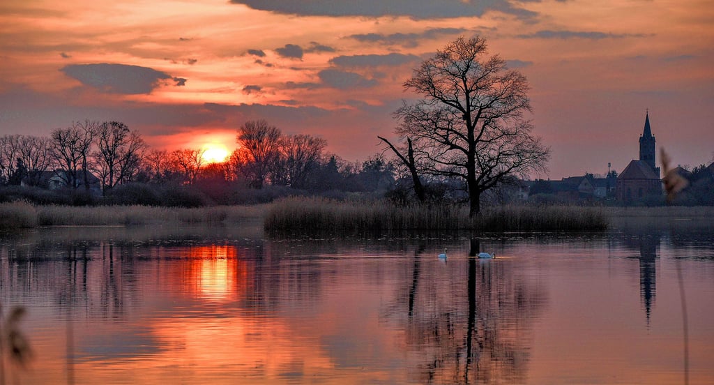 Sonnenuntergang am Kühnauer See: Nicht immer sorgte das Wetter 2023 für solch eine Idylle.