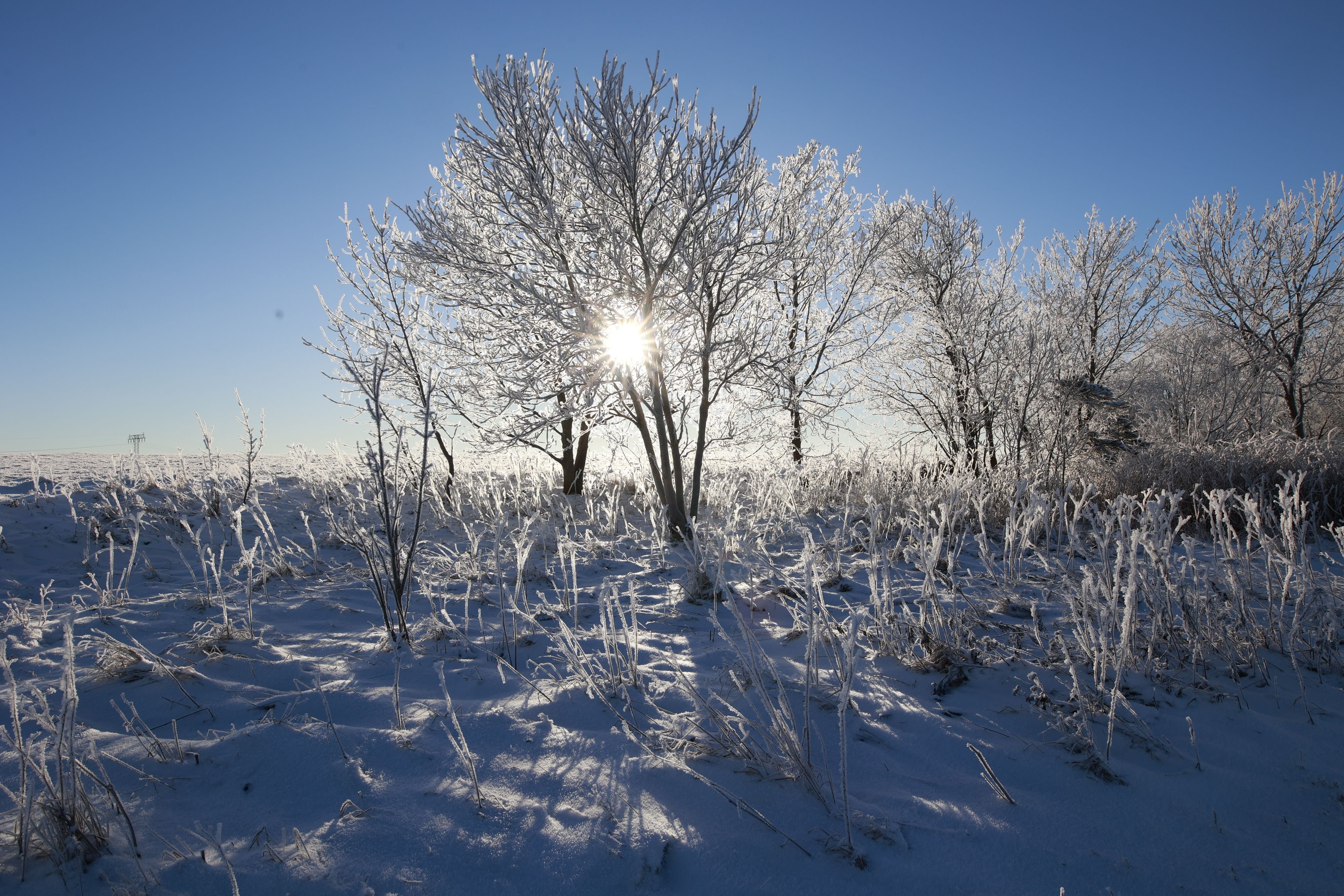 Wetter Sachsen-Anhalt: DWD Warnt Vor Frost - Minusgrade, Schnee, Regen ...