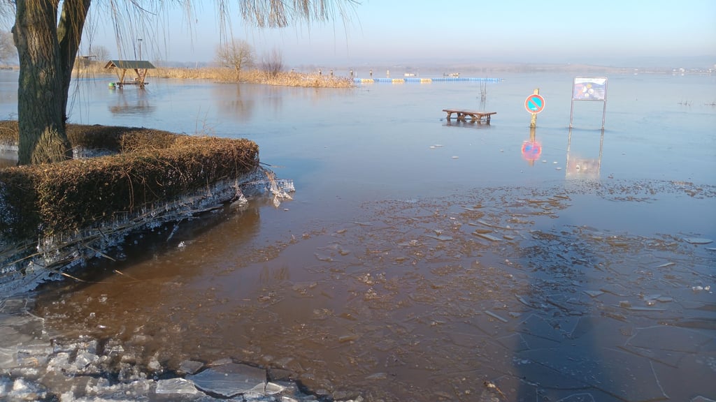 Eine dünne Eisschicht bedeckt den Stausee in Kelbra.
