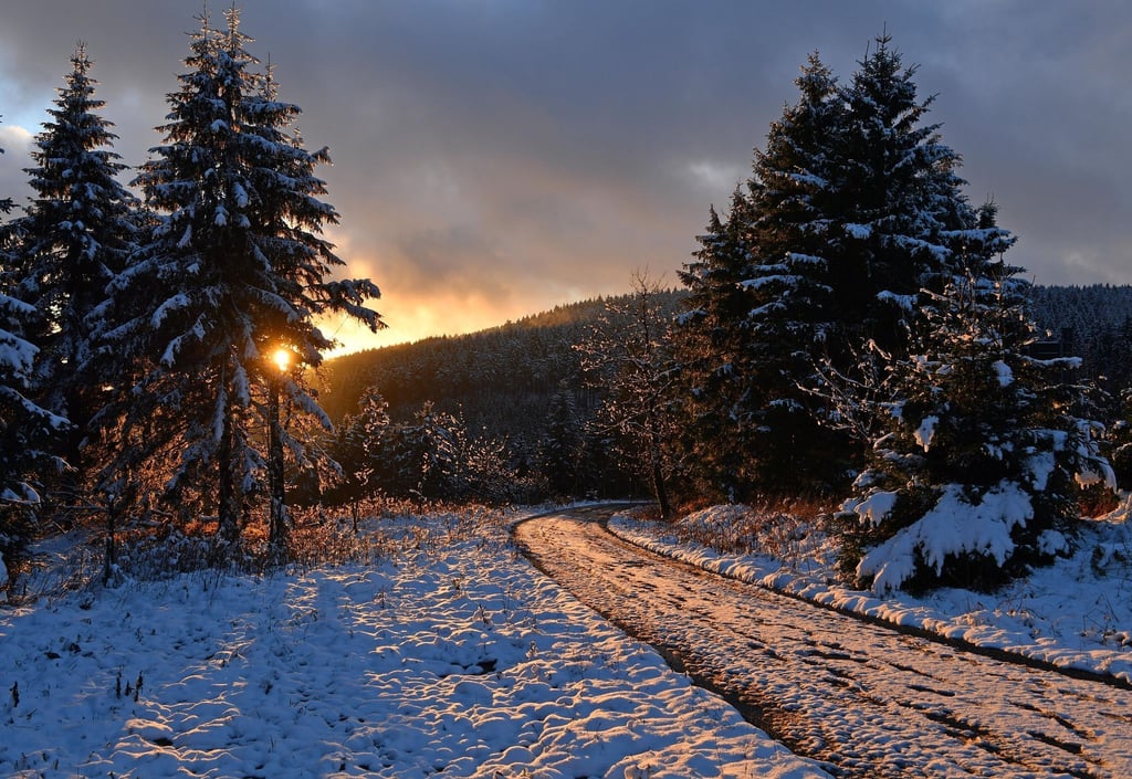 Sonnenuntergang im Thüringer Wald: winterliche Landschaft bei Oberhof.