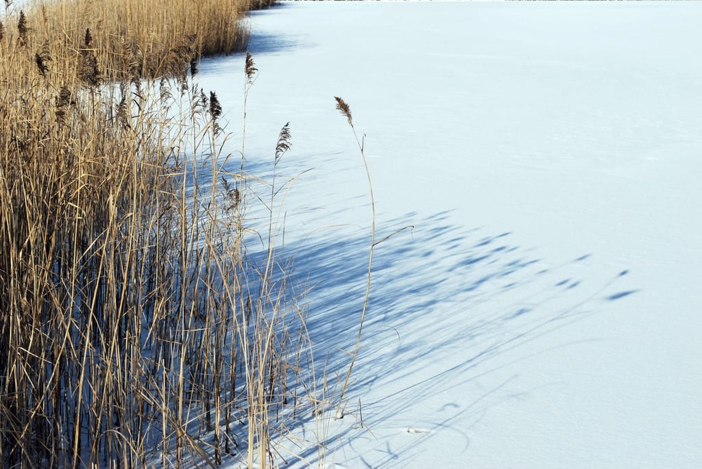 Ein zugefrorener See.