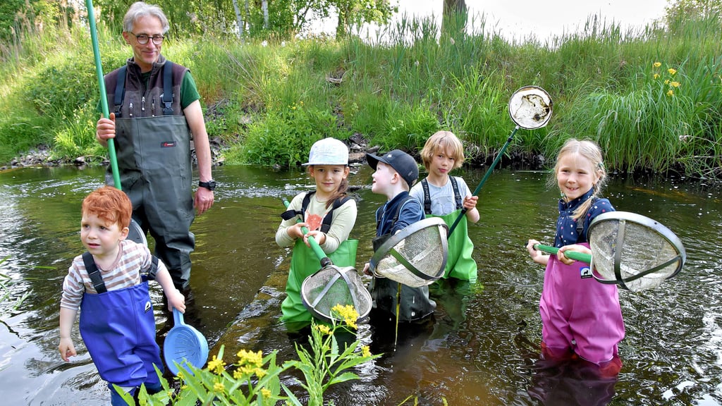 Besonders beliebt ist bei den kleinen Entdeckern das Tümpeln. Hier erforschen die Kinder unter der Anleitung von Ranger Ulf Damm die Wasserwelt der Ohre. Mit Keschern fangen die Mädchen und Jungen vorsichtig winzige Krabbeltiere, bestimmen diese und setzen sie wieder ins Wasser.
