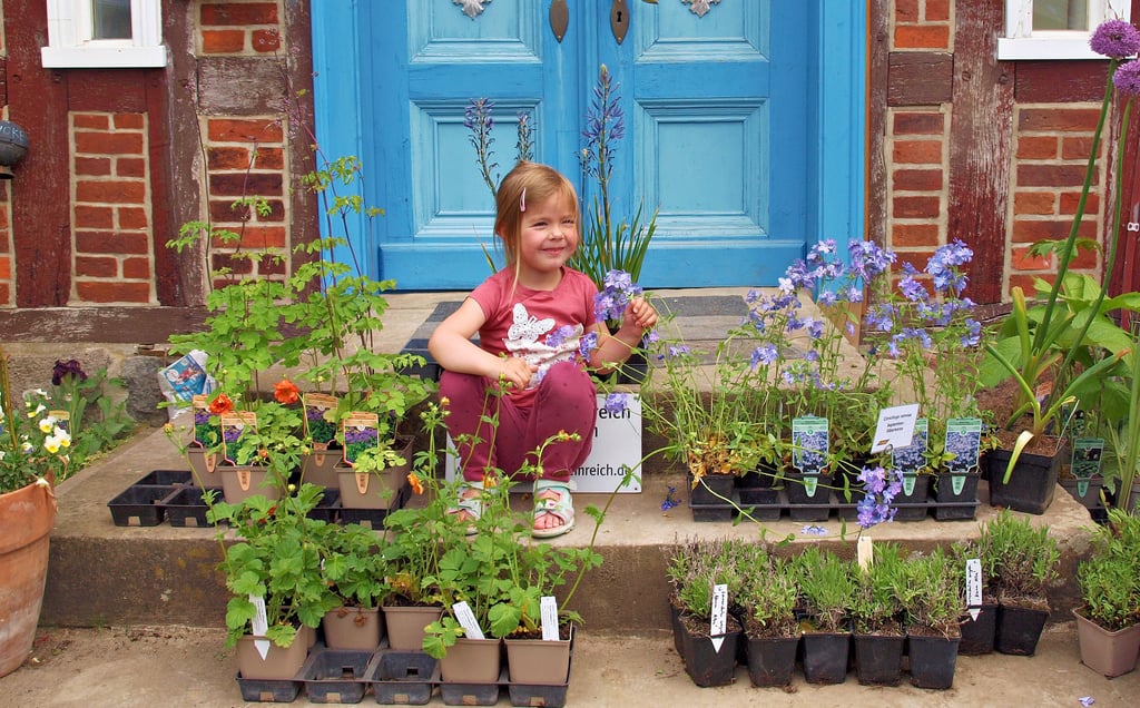 Auch in diesem Jahr soll en auf dem offenen Gartenmarkt auf dem Neulinger Landhof wieder Blumen und Pflanzen in voller Pracht präsentiert und damit die kleinen und großen Besucher angelockt werden.