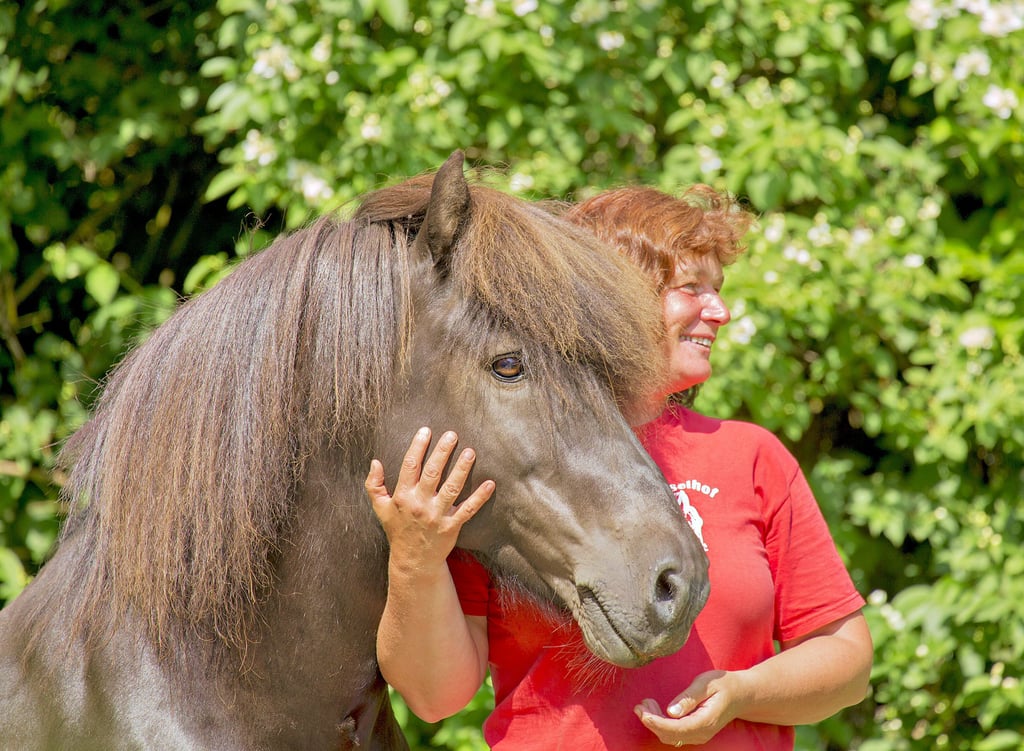 Heike Schröter mit dem 25-jährigen gekörten Deckhengst Gráni vom Hasselhof, der inzwischen in Steigra ein neues Zuhause hat.