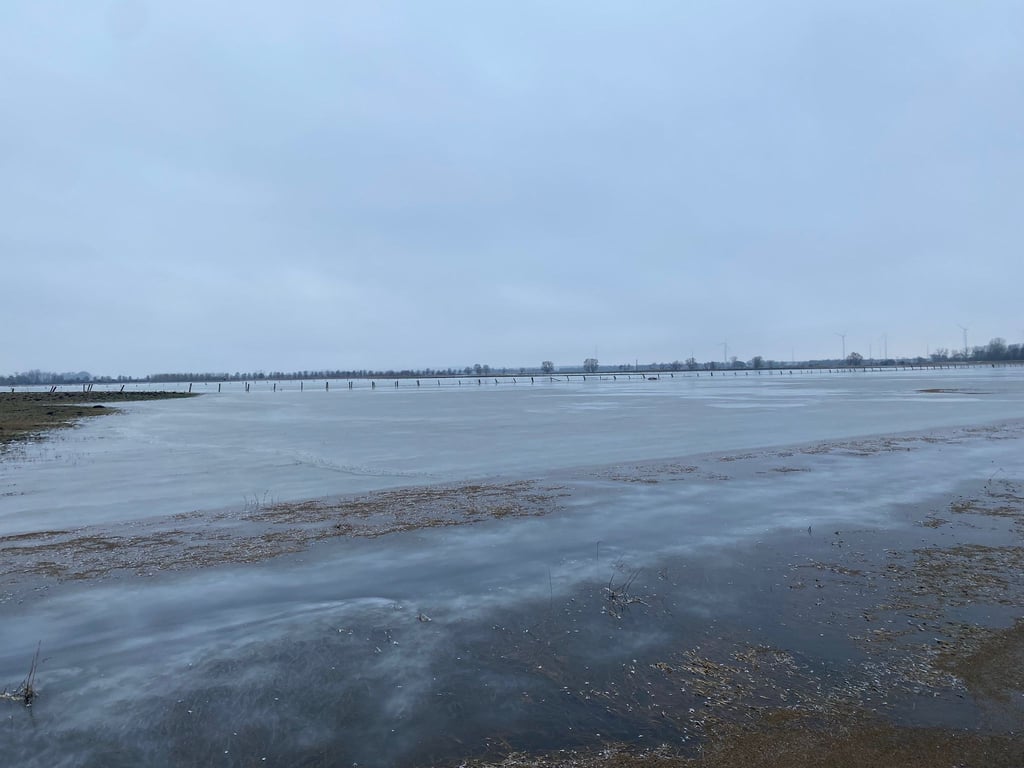 Im Großen Bruch stehen die Felder seit Wochen unter Wasser. Nun ist das Nass gefroren...