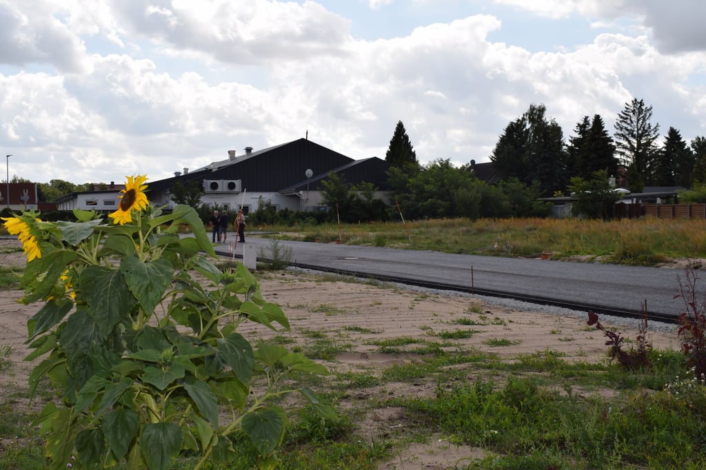 Blick in das neue Wohngebiet "Schröders Garten" in Gerwisch. Mit neuen Baugebieten soll dem Einwohnerschwund entgegengewirkt werden.