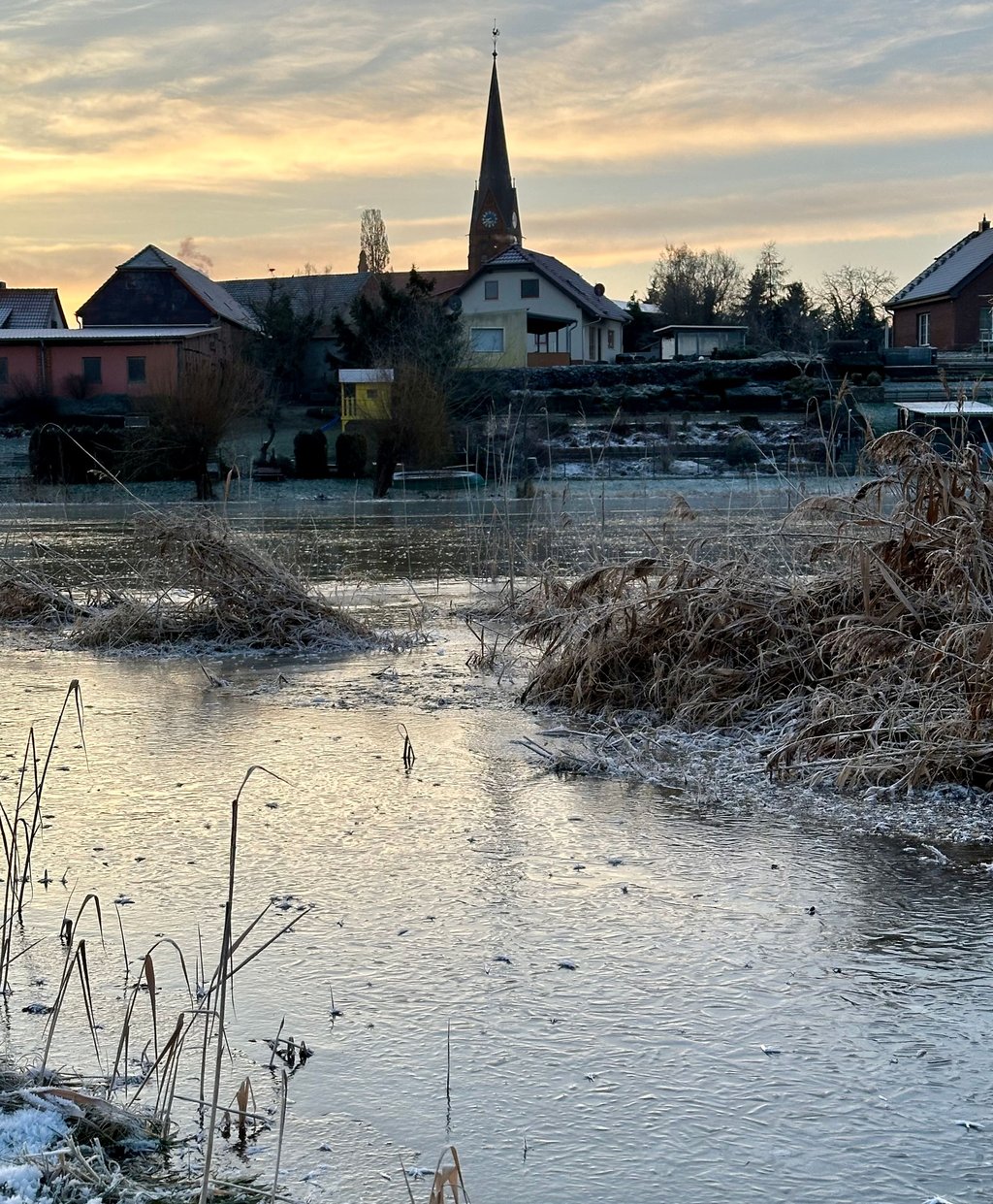 Der Parchauer See ist mit einer dünnen Eisschicht überzogen.