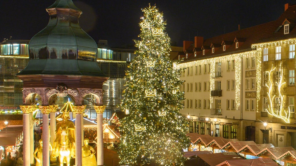 Hunderttausende Besucher lockt der Magdeburger Weihnachtsmarkt Jahr für Jahr ins Stadtzentrum. Damit auch in diesem Jahr eine Konifere aufgestellt werden kann, sind erhebliche Anstrengungen erforderlich.
