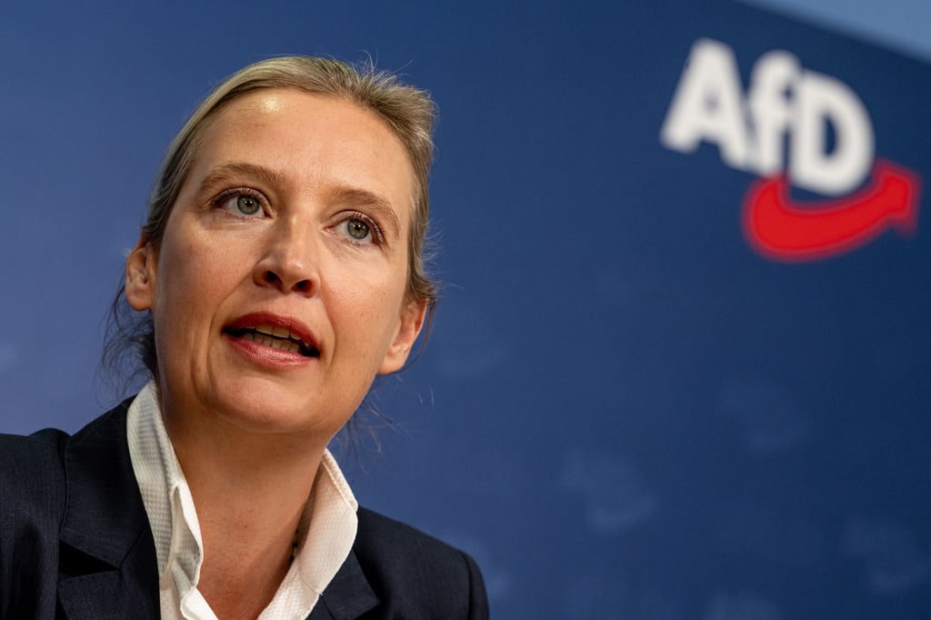 Der Arbeitsvertrag des Referenten der AfD-Parteichefin Alice Weidel wurde mit sofortiger Wirkung aufgelöst, wie die Partei mitteilte.